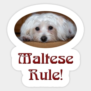 Maltese Rule! Sticker